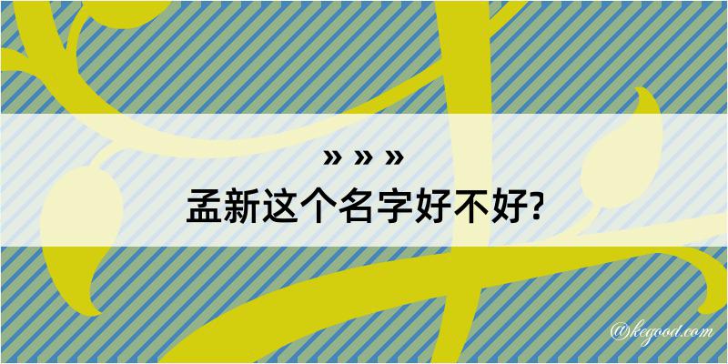 孟新这个名字好不好?