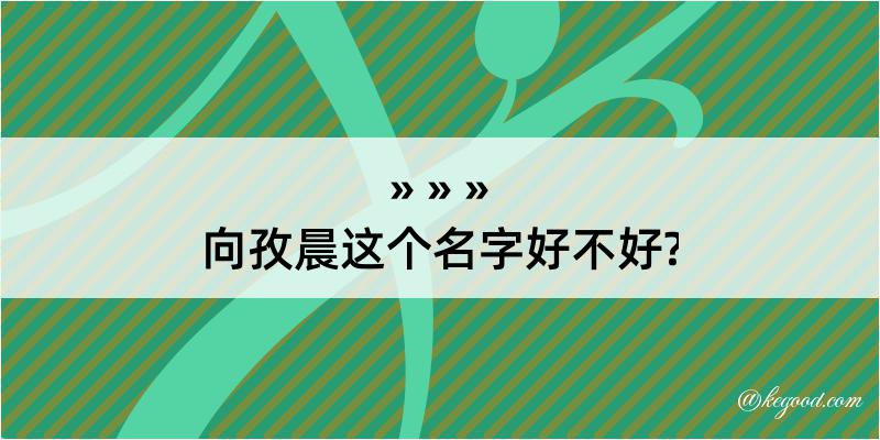 向孜晨这个名字好不好?