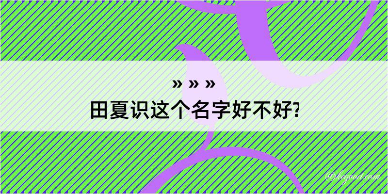 田夏识这个名字好不好?