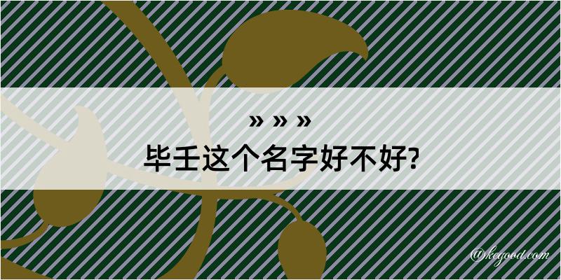 毕壬这个名字好不好?