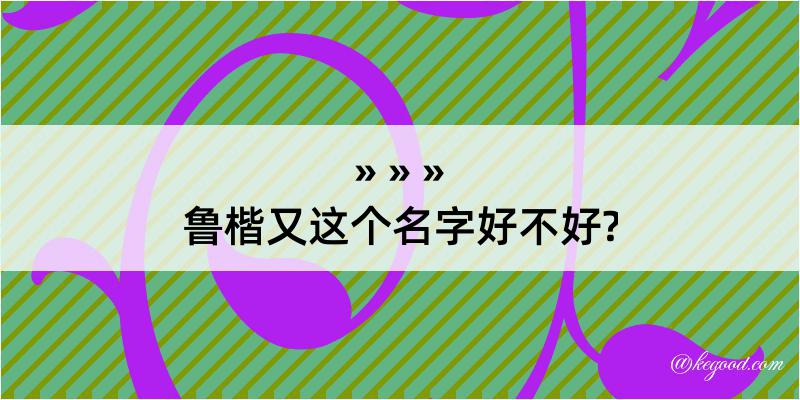 鲁楷又这个名字好不好?