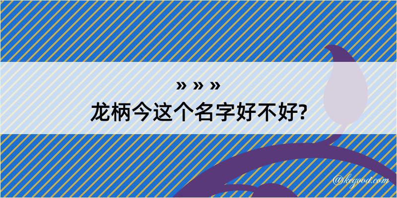 龙柄今这个名字好不好?