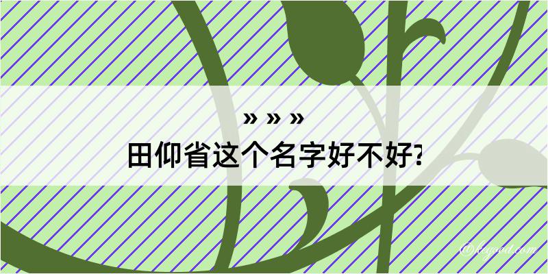 田仰省这个名字好不好?