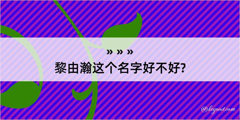 黎由瀚这个名字好不好?