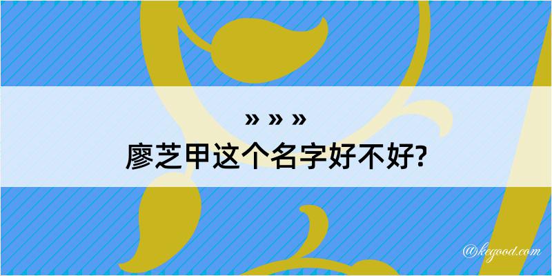 廖芝甲这个名字好不好?