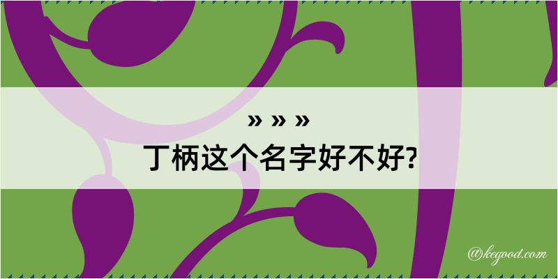 丁柄这个名字好不好?