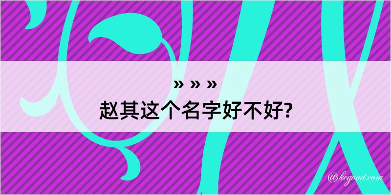 赵其这个名字好不好?