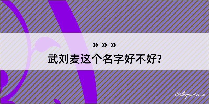 武刘麦这个名字好不好?