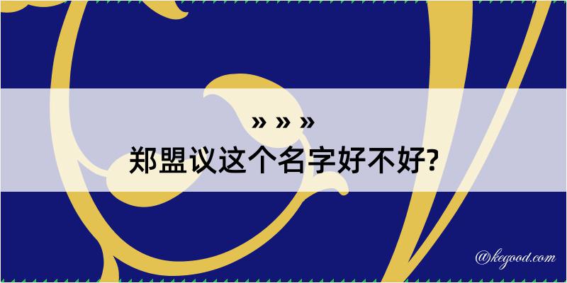 郑盟议这个名字好不好?