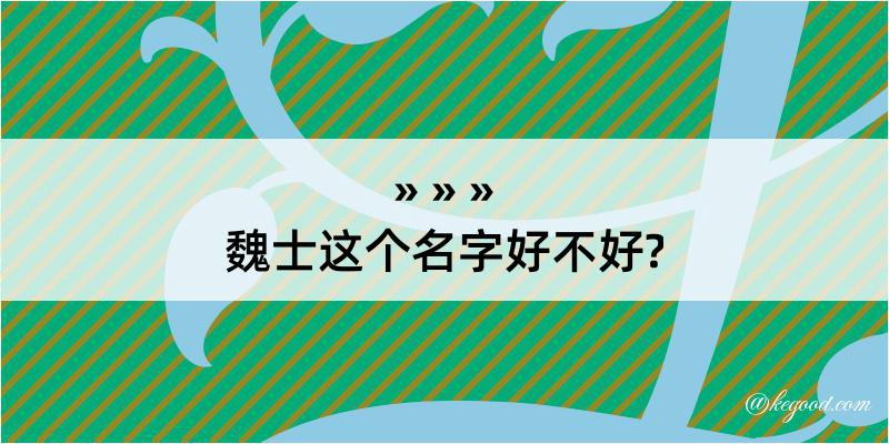 魏士这个名字好不好?