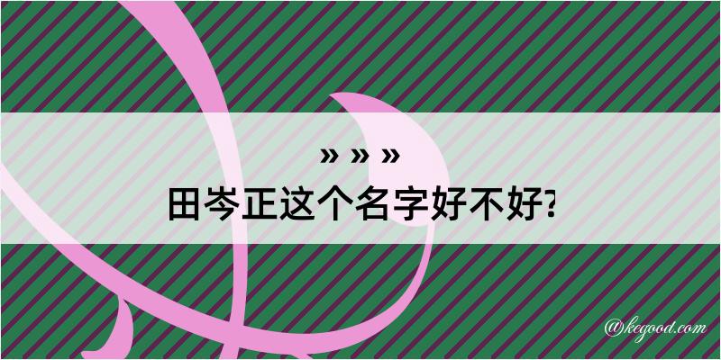 田岑正这个名字好不好?