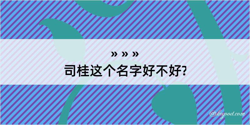 司桂这个名字好不好?