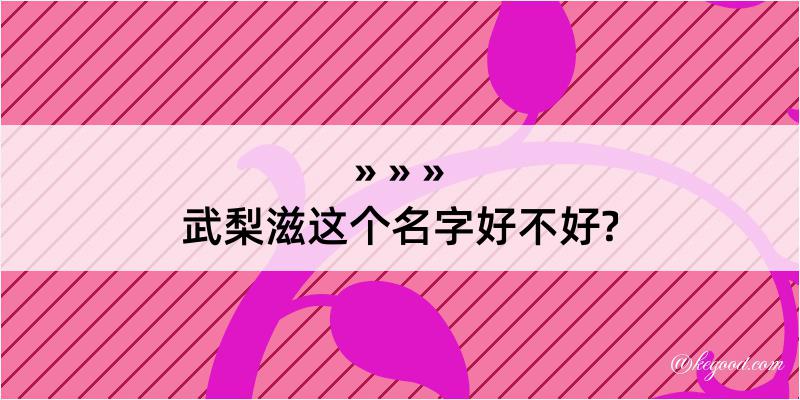 武梨滋这个名字好不好?