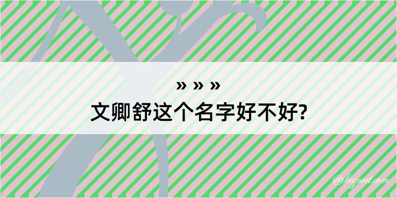 文卿舒这个名字好不好?