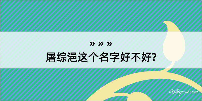 屠综浥这个名字好不好?