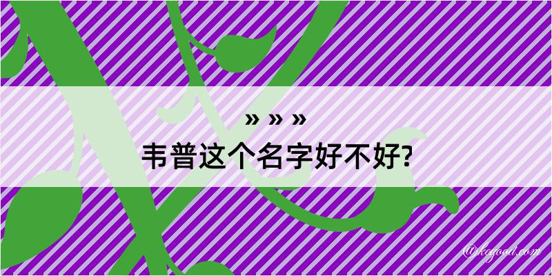 韦普这个名字好不好?