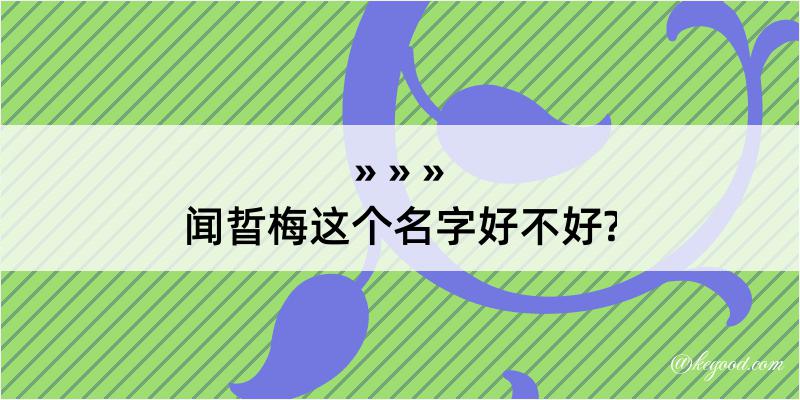 闻晢梅这个名字好不好?