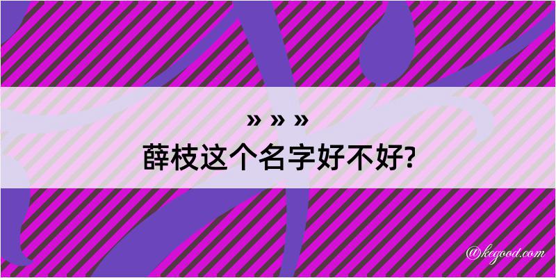 薛枝这个名字好不好?