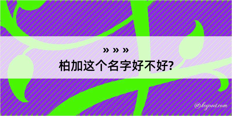 柏加这个名字好不好?