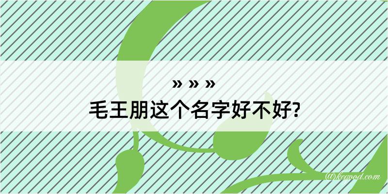 毛王朋这个名字好不好?