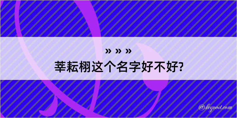 莘耘栩这个名字好不好?