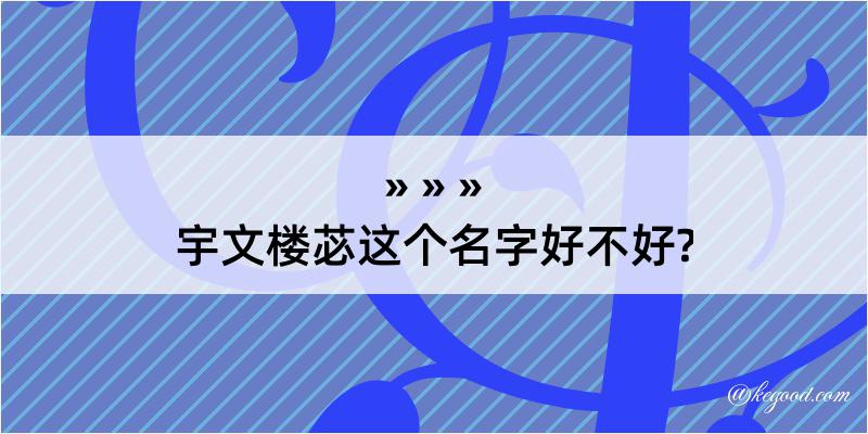 宇文楼苾这个名字好不好?