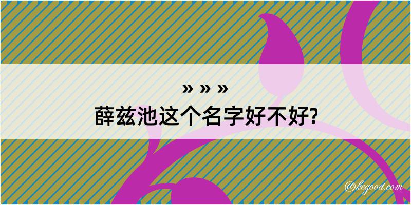 薛兹池这个名字好不好?