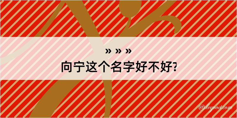 向宁这个名字好不好?