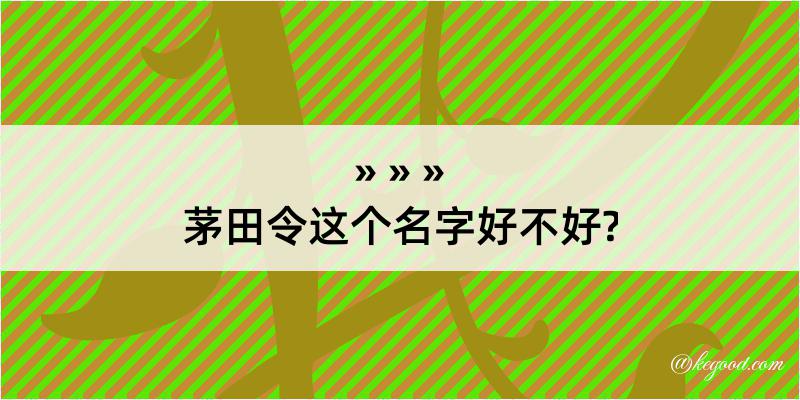 茅田令这个名字好不好?