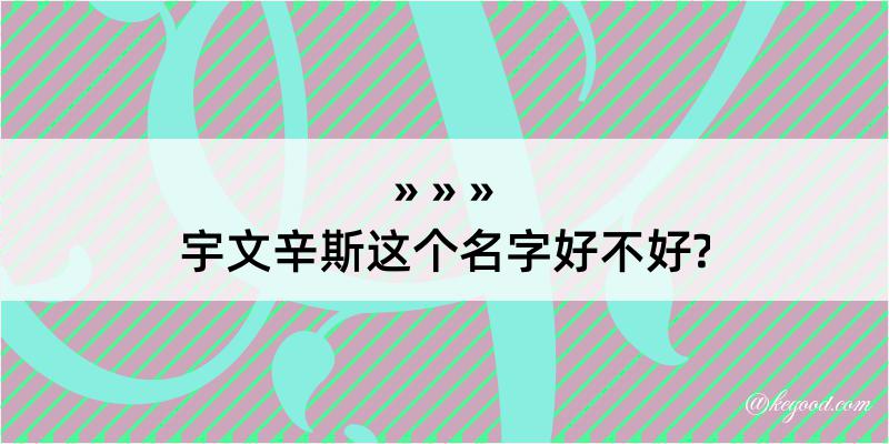 宇文辛斯这个名字好不好?