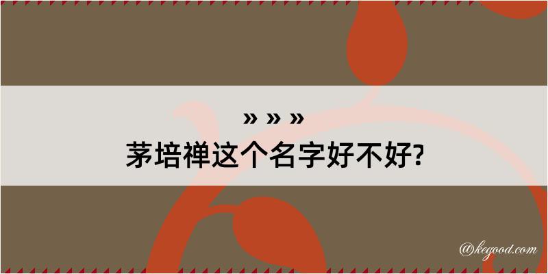 茅培禅这个名字好不好?