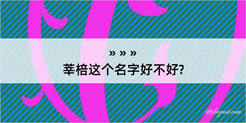 莘棓这个名字好不好?