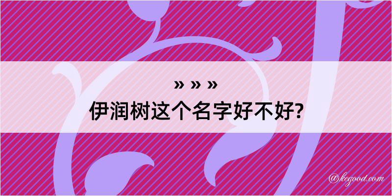 伊润树这个名字好不好?