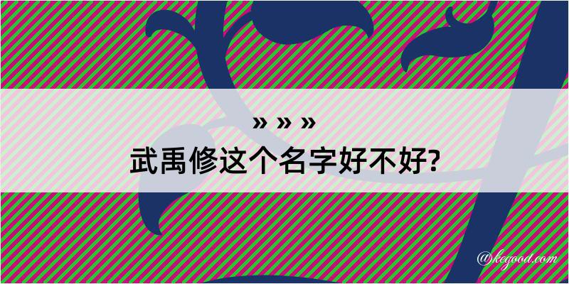 武禹修这个名字好不好?