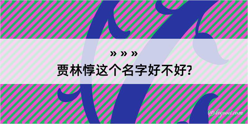 贾林惇这个名字好不好?