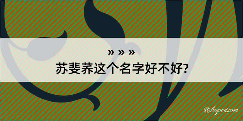 苏斐荞这个名字好不好?