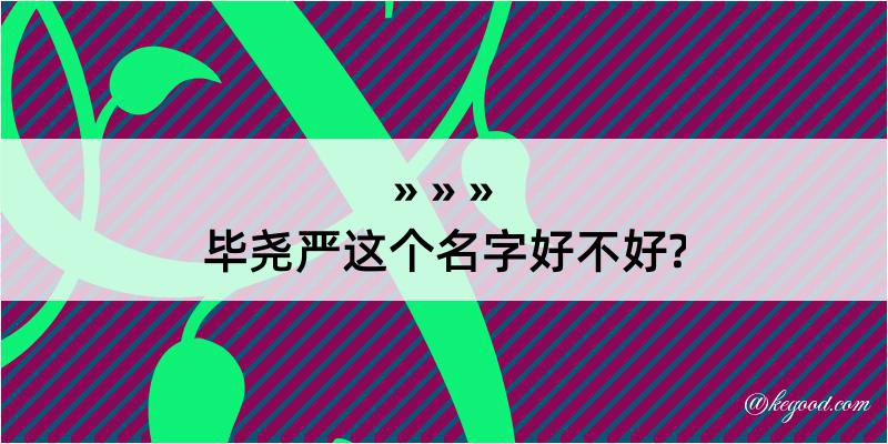 毕尧严这个名字好不好?