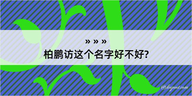 柏鹏访这个名字好不好?