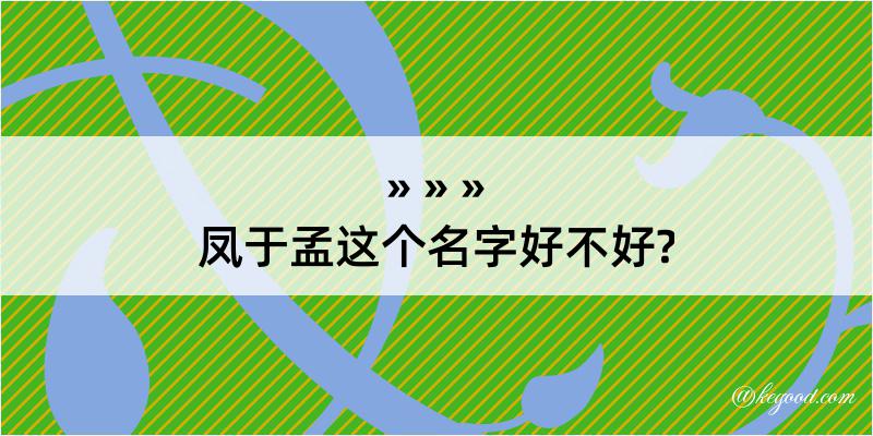 凤于孟这个名字好不好?