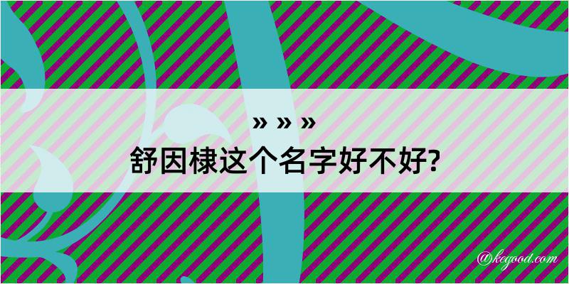 舒因棣这个名字好不好?