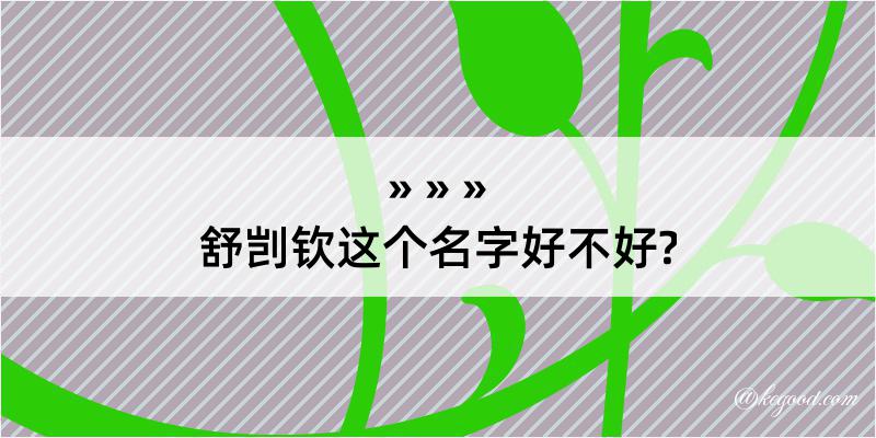 舒剀钦这个名字好不好?