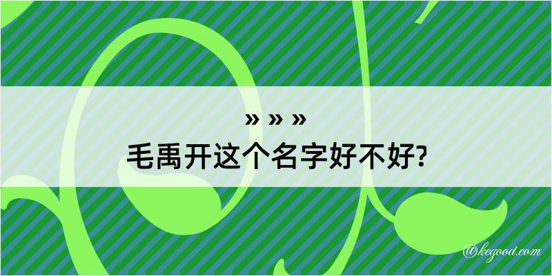 毛禹开这个名字好不好?