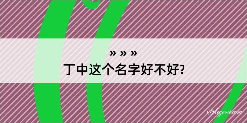 丁中这个名字好不好?