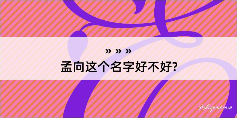 孟向这个名字好不好?