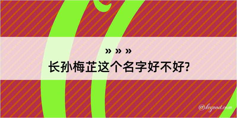 长孙梅芷这个名字好不好?