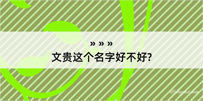 文贵这个名字好不好?