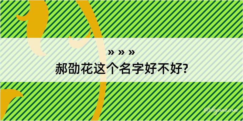 郝劭花这个名字好不好?