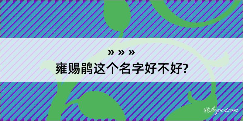 雍赐鹃这个名字好不好?