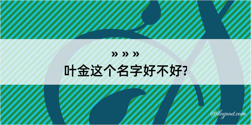 叶金这个名字好不好?