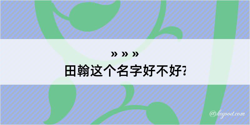 田翰这个名字好不好?